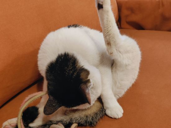 玖米宿江（桂林兩江四湖東西巷店）優惠