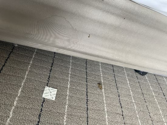 諾富特曼谷隆齊素坤逸酒店 （SHA Extra Plus）優惠