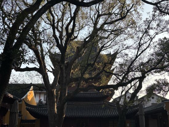 普陀山開元觀堂優惠