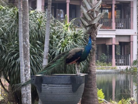 廣州都喜泰麗温泉度假酒店優惠