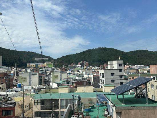 부산 넘버25 용호점 쿠폰