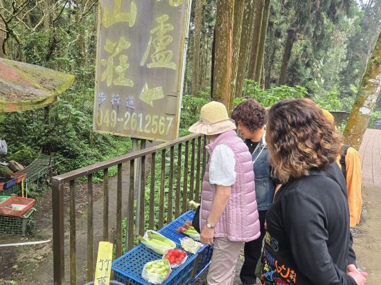 南投溪頭孟宗山莊大飯店優惠
