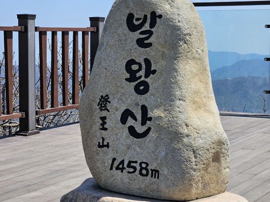 용평 리조트 쿠폰