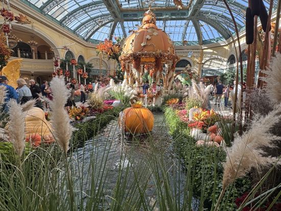 拉斯維加斯百樂宮酒店優惠