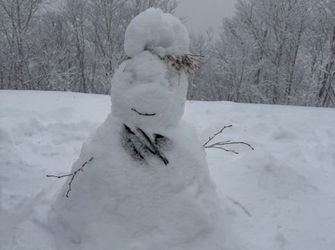 星野リゾート トマム ザ タワー クーポン
