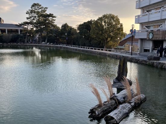 奈良県外国人観光客交流館 (奈良県猿沢イン) クーポン