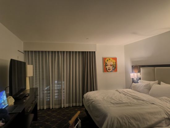 新奧爾良市區超圓屋頂體育場假日酒店優惠