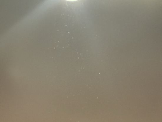 墨爾本W酒店優惠