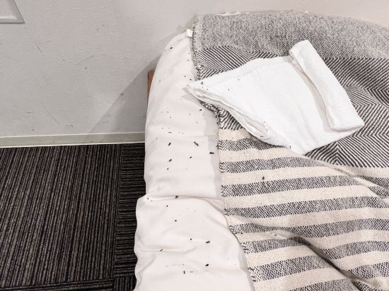 プレイシスイーストトーキョー クーポン