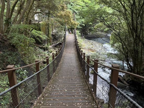海遊亭 クーポン