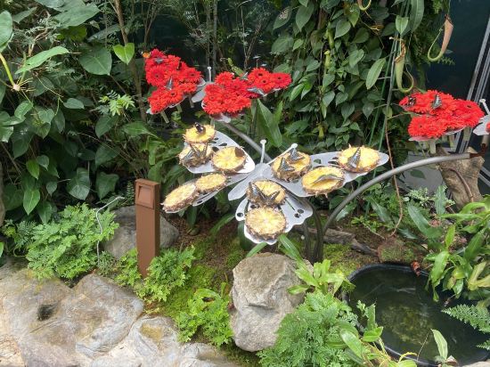 樟宜81酒店 （Staycation Approved）優惠