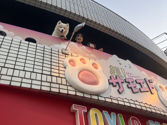 書書茶房 - 渋谷優惠