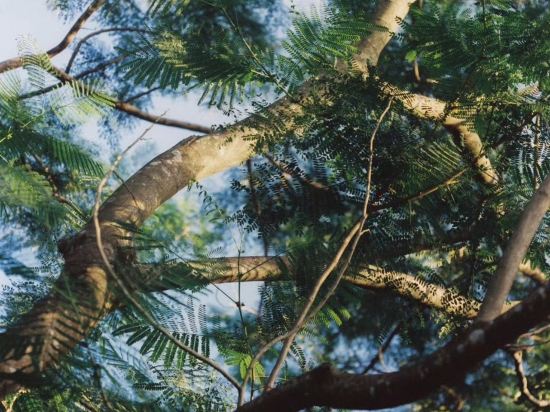 奇遇派飯店（杭州西湖河坊街店）優惠