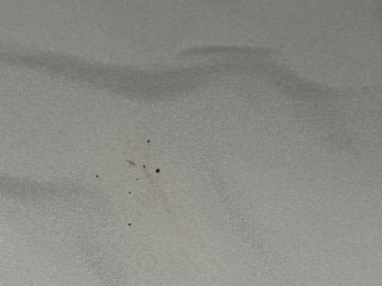 盈舍輕奢酒店（深圳東門國貿地鐵站店）優惠