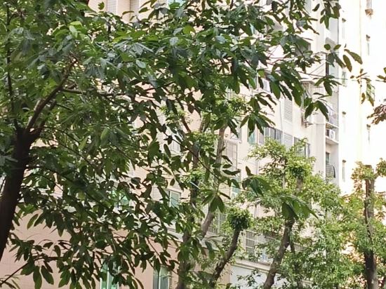 CityNote希諾酒店（廣州北京路省人民醫院店）優惠