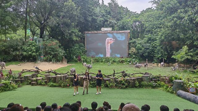 review picture