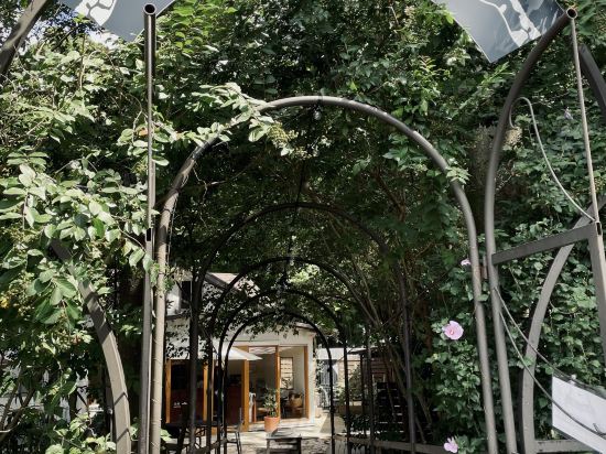 ザ・バンブーフォレスト クーポン