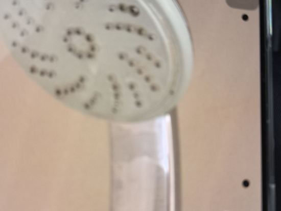 布拉迪斯拉法老城區萬豪 AC 飯店優惠