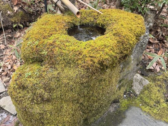 ふもと旅館別邸　こうの湯 クーポン