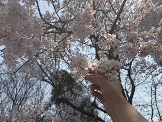 ウェスティンホテル東京 クーポン