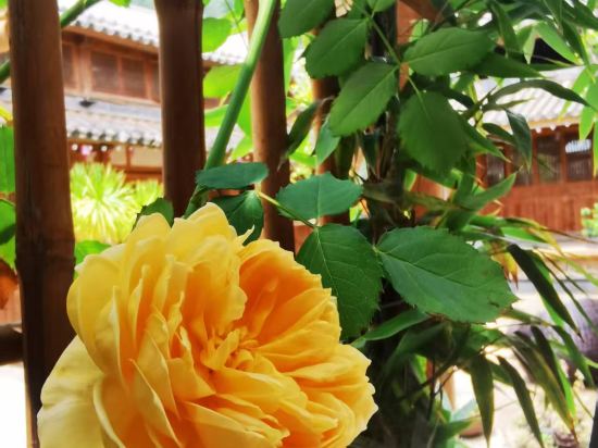 雞足山瓦築·國子監精品民宿優惠