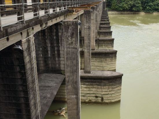 佛山龍江希爾頓歡朋酒店優惠