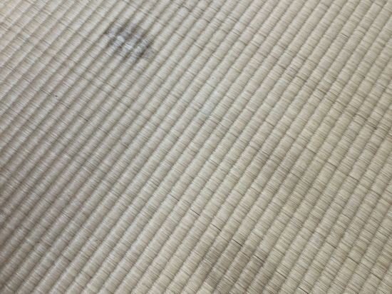 ミシュラン料理人による地産会席　新・海花亭いずみ クーポン