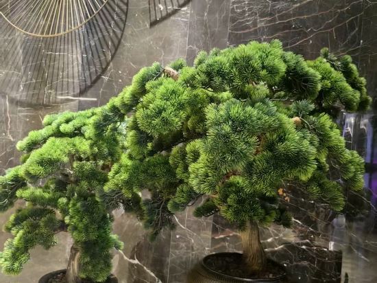 荷泰酒店（海口紅城湖店）優惠