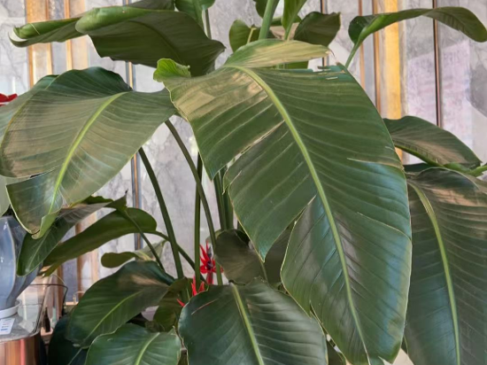 美豪麗致飯店（廣州東站店）優惠