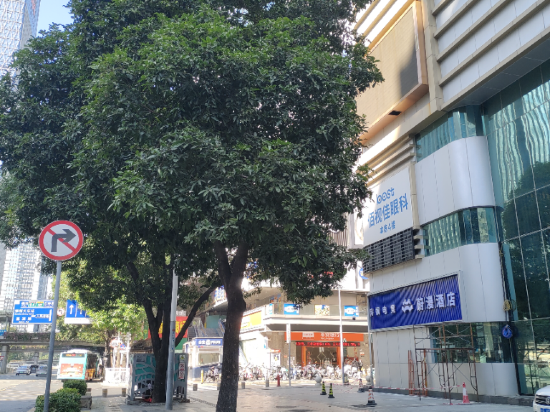 格蘭雲天·閲酒店（深圳東門店）優惠