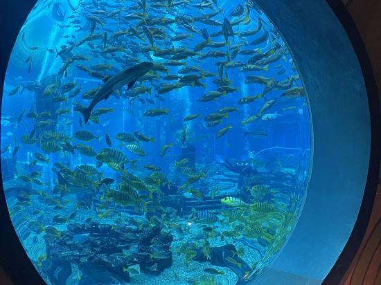 三亞亞特蘭蒂斯酒店優惠