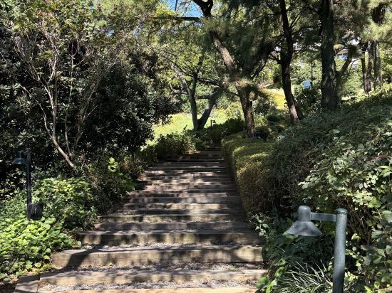 제주신라호텔 쿠폰