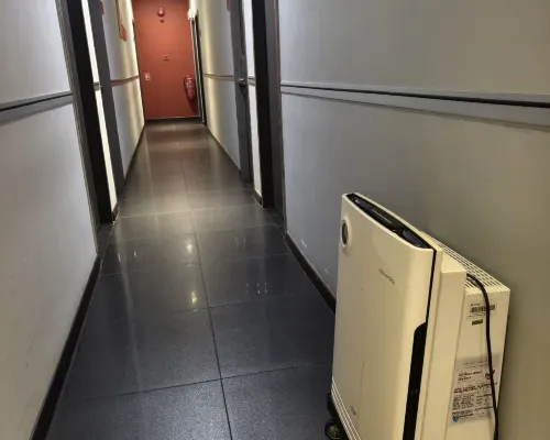 My Dream Hotel الأماكن العامة Photos