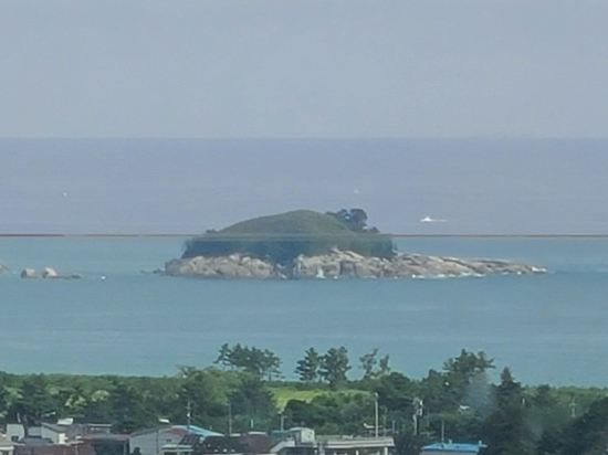 신세계 영랑호 리조트 쿠폰