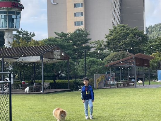소노펫클럽&리조트 비발디파크 쿠폰