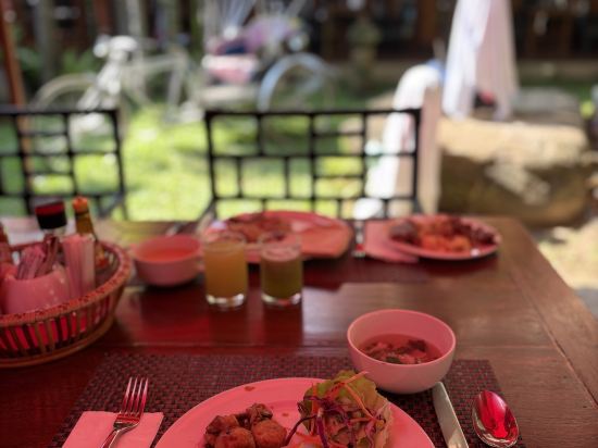 普拉辛格村莊飯店優惠