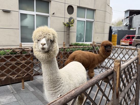 北京遠航國際酒店（首都機場新國展店）優惠