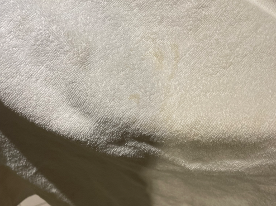 莫斯科謝諾梅傑沃機場麗笙藍標酒店優惠