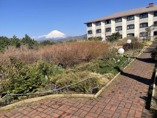 ホテルグリーンプラザ箱根 クーポン