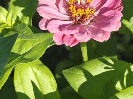 多倫吉嘉賓館優惠