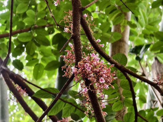 清遠居篁精舍（古龍峽店）優惠