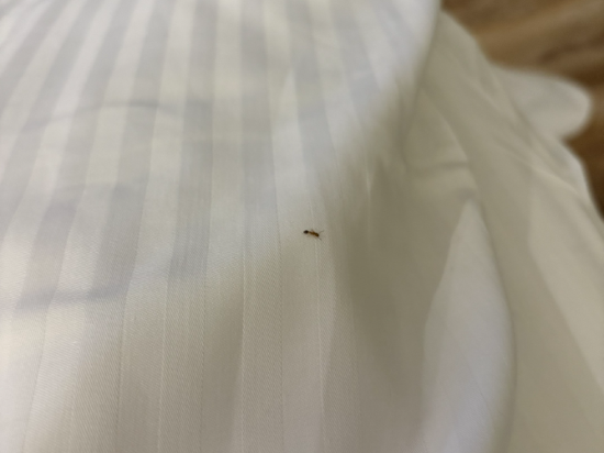 藏闊渡假會館優惠