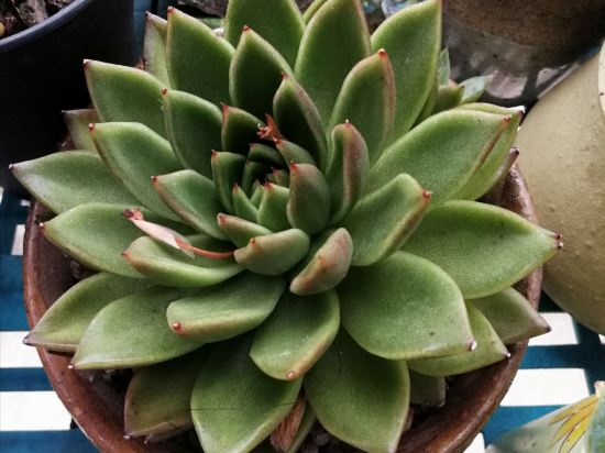 澳門假期酒店優惠