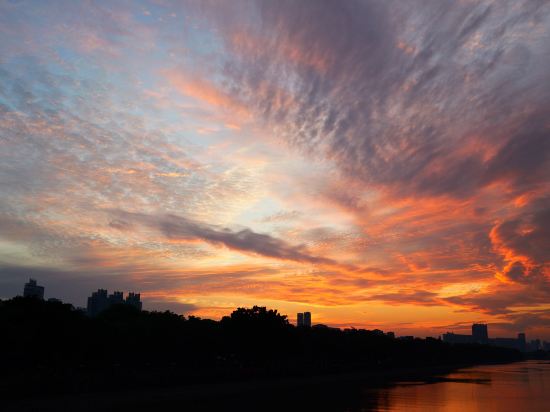 廣州珠江新城五羊邨地鐵站琥珀公館優惠