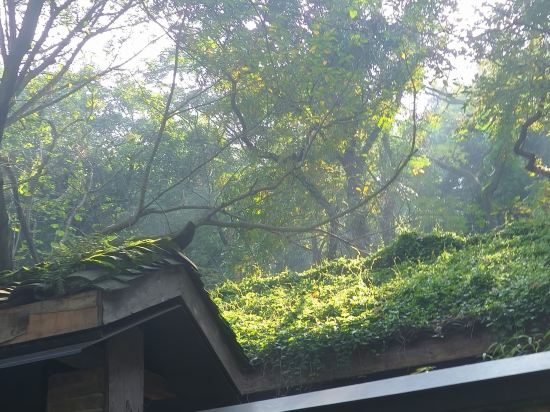 重慶金剛碑老村溫泉飯店優惠