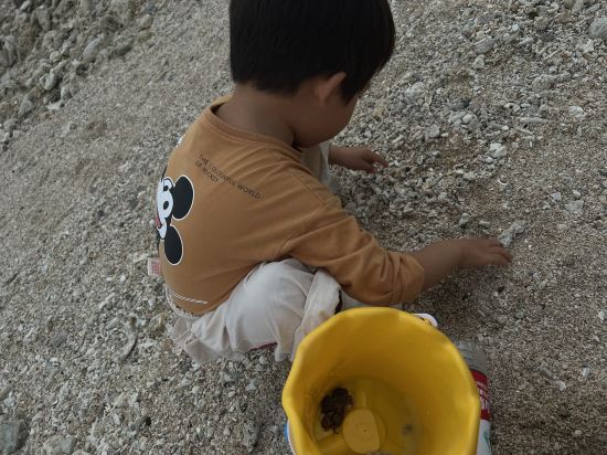 三亞半山半島洲際度假酒店優惠