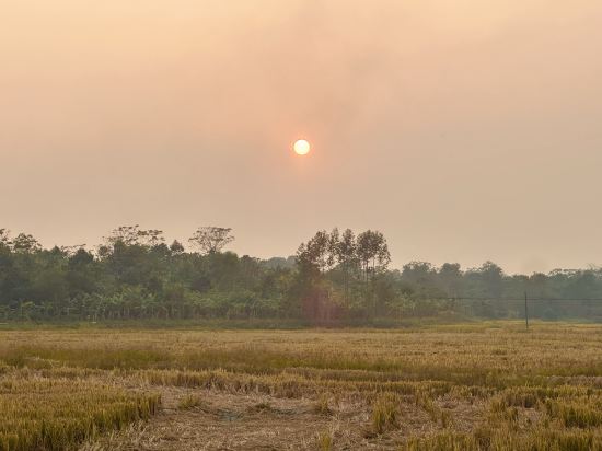 麗楓酒店（開平幕沙店）優惠