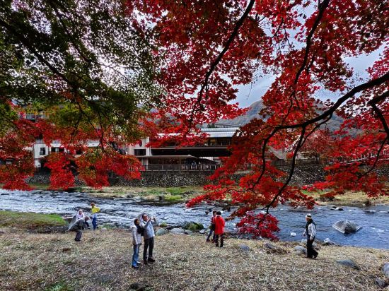 秘湯にごり湯の宿　渓雲閣 クーポン