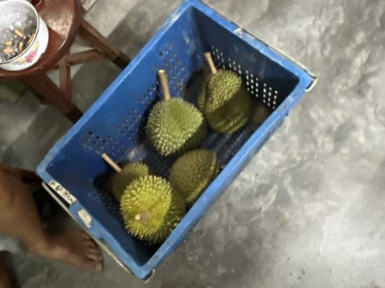 文德甲U設計酒店優惠