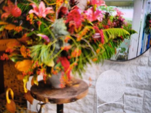 深圳6號花園酒店優惠